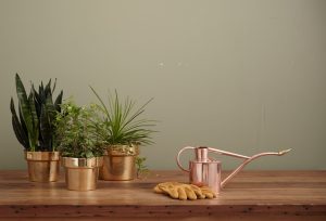 Improve Home Air Quality with Indoor Plants