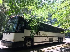 Ecoshuttle sustainable transportation