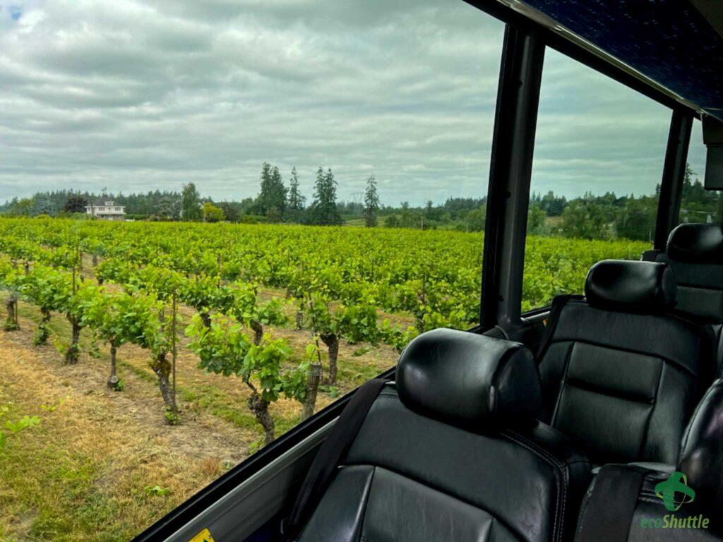 Interior Vineyard window view at a vineyard trip.