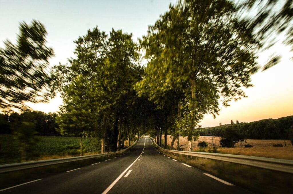 A road with trees surrounding it.